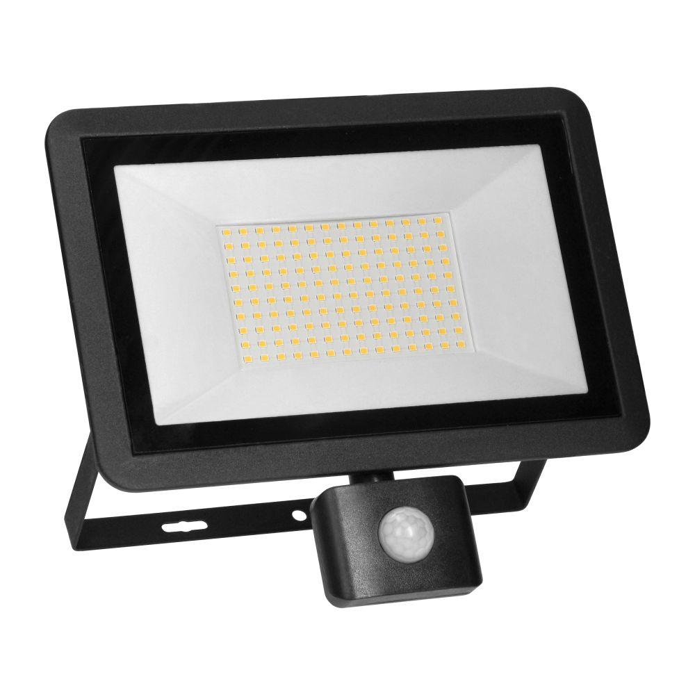FARO LED, floodlight with PIR motion sensor, 100W, 8000lm, IP44, 4000K, aluminium + glass